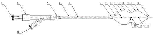 Bicuspid valve balloon dilatation catheter