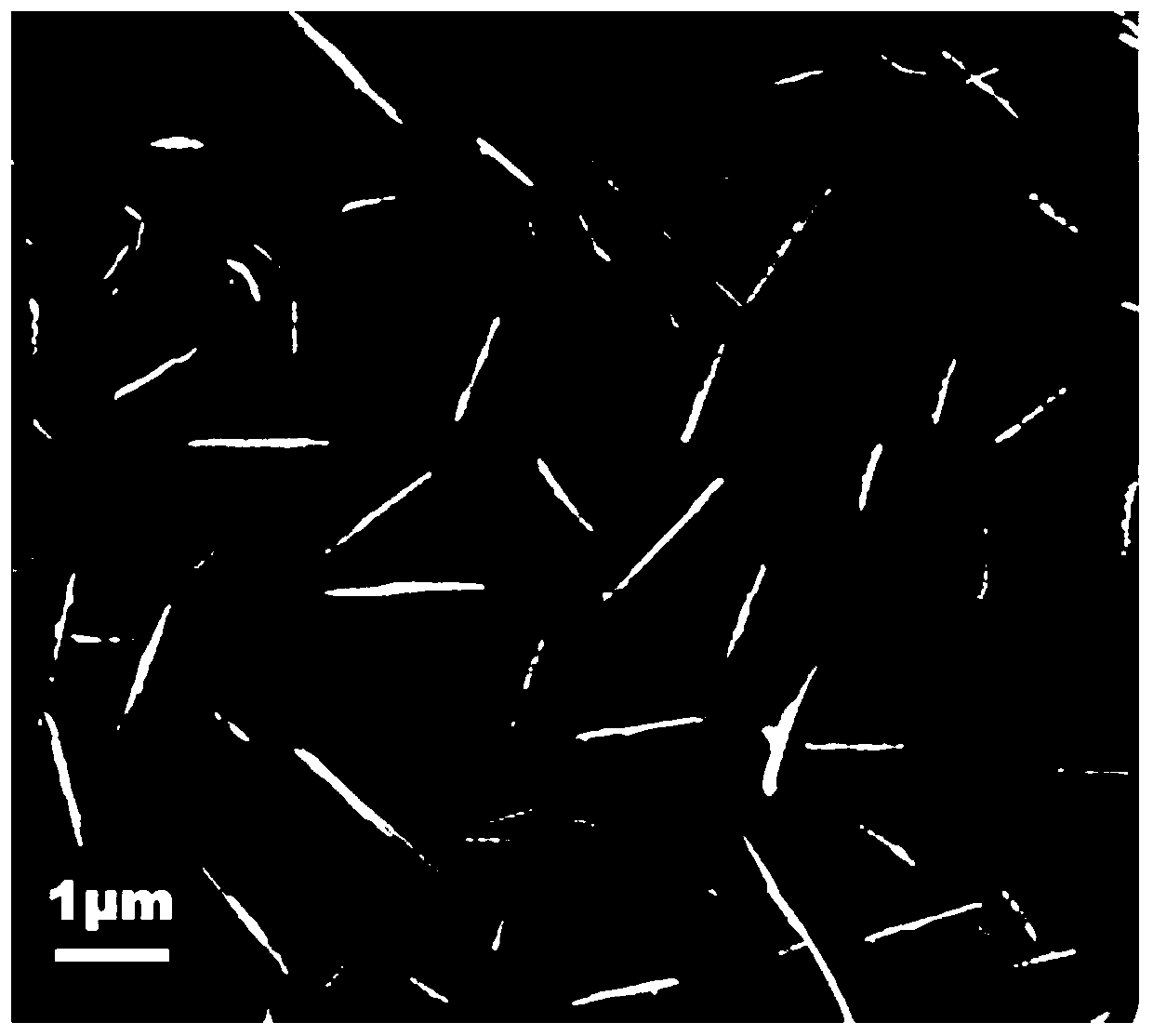 One-pot method for preparing ascidian nano-microcrystalline cellulose/rubber nanocomposites