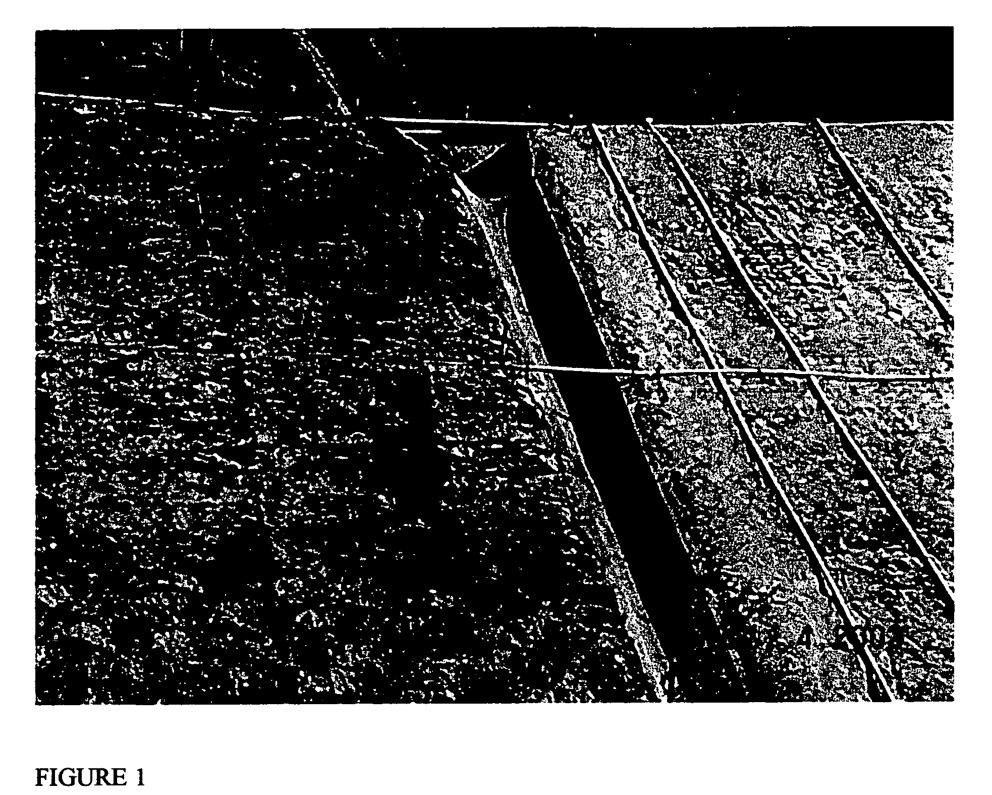 Compositions and methods for resisting soil erosion and fire retardation