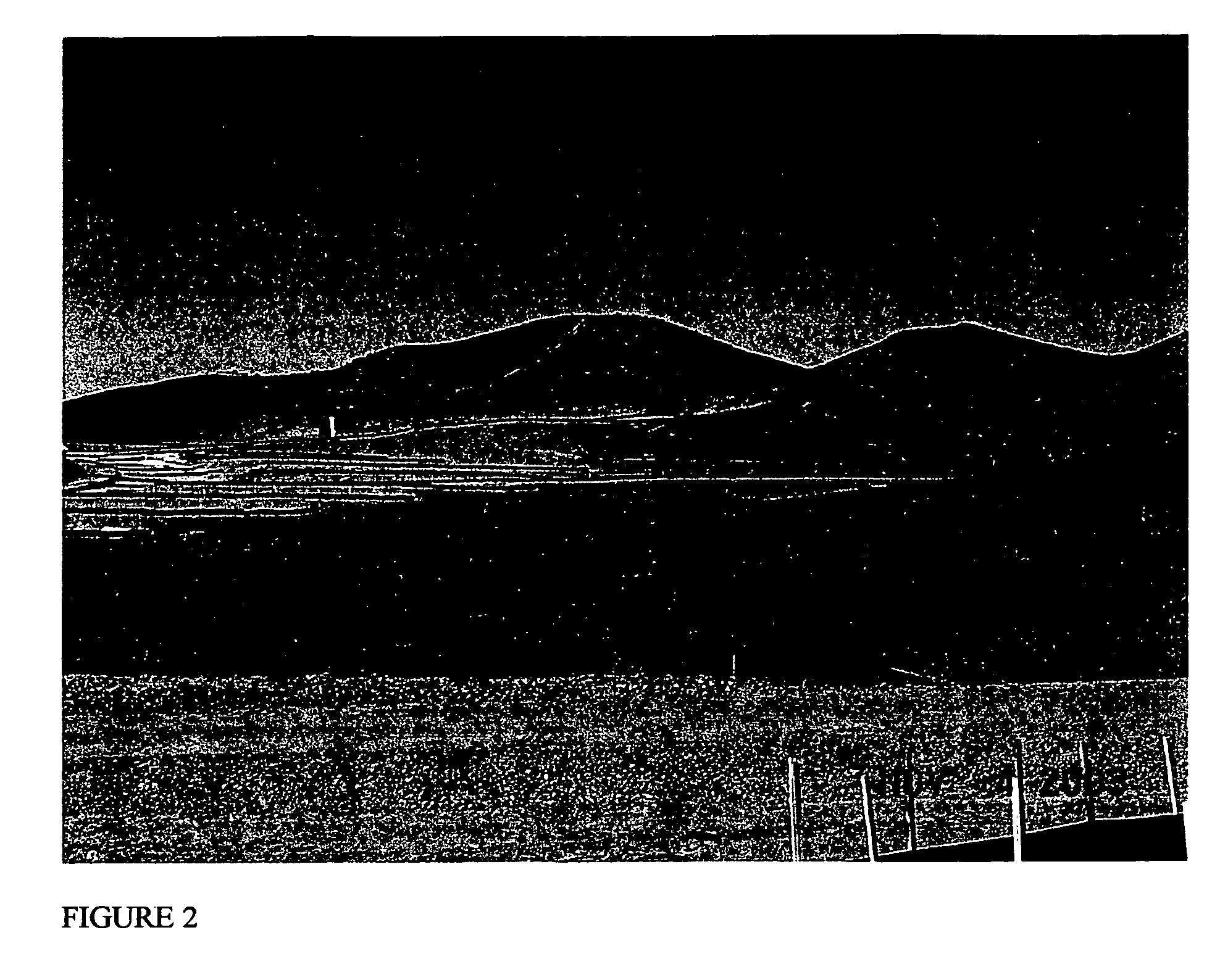 Compositions and methods for resisting soil erosion and fire retardation