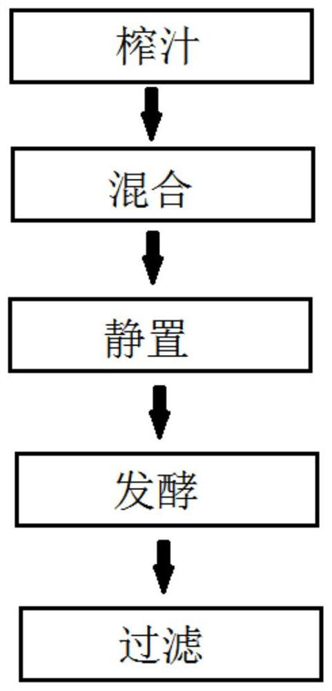 Plant fermentation broth and preparation method, beverage and application thereof