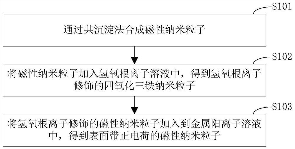 A kind of magnetic nano particle, its preparation method and its application in transfection reagent