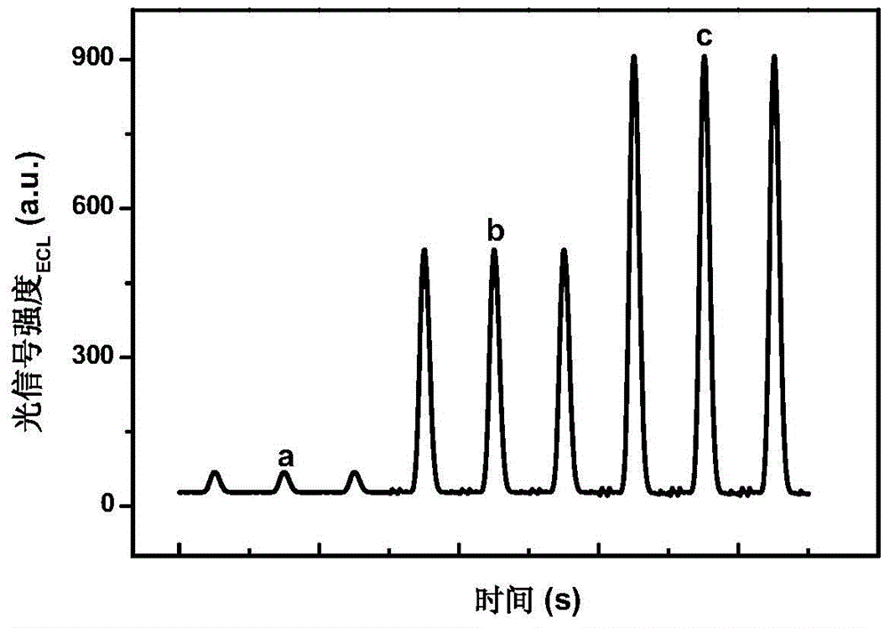 Solid phase electrochemiluminescence detection method for aniline