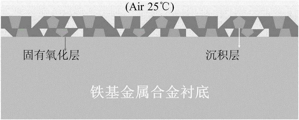 Preparation method for carbon nanotube array cathode on Fe-based metal alloy substrate