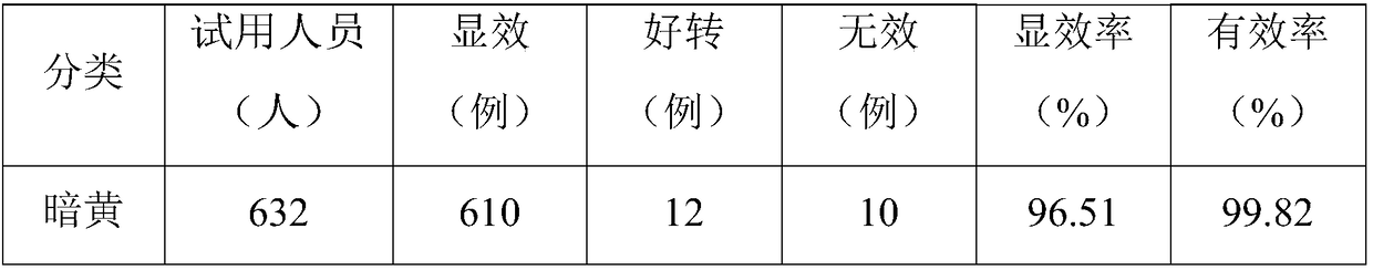 Traditional Chinese mask, skin care product composition, and preparation method thereof