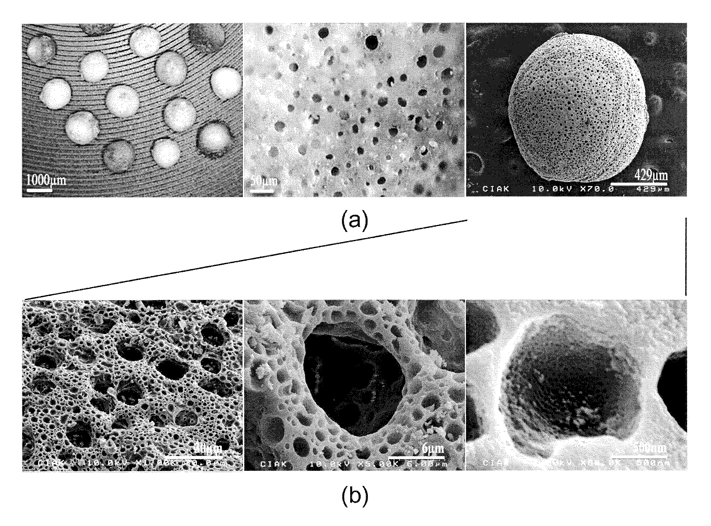 Porous material having hierarchical porous structure and preparation method thereof