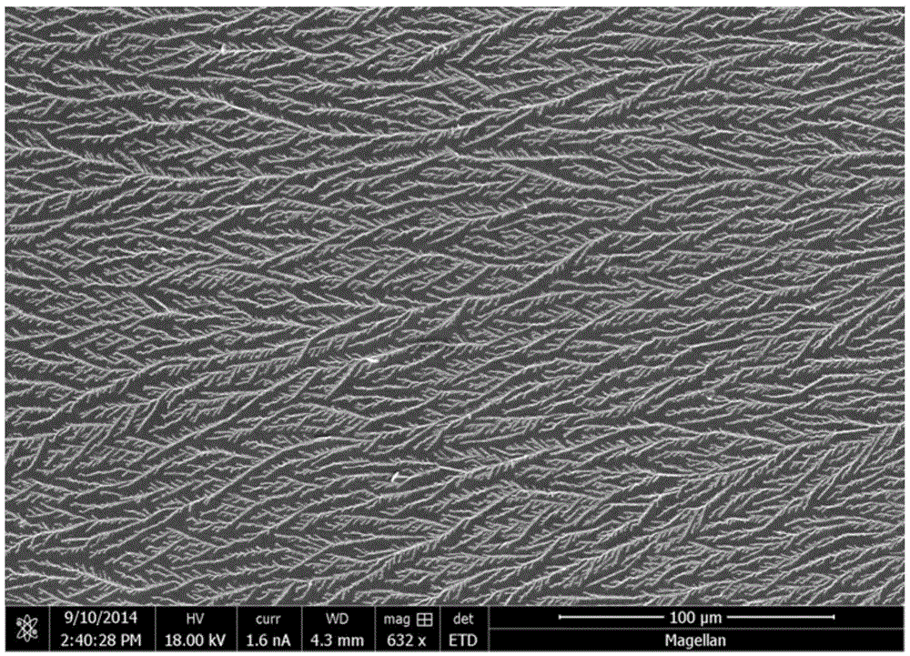 A kind of preparation method of au modified zn/zno micro-nano material