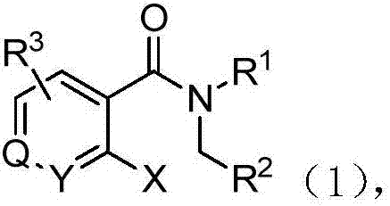 3-hydroxy isoindole-1-ketone derivative and preparation method thereof