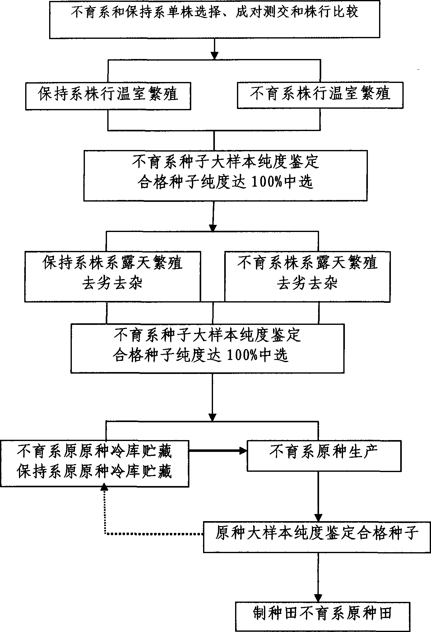 Method for producing original seed for repeat reproduction of japonica rice three-line sterile line strain