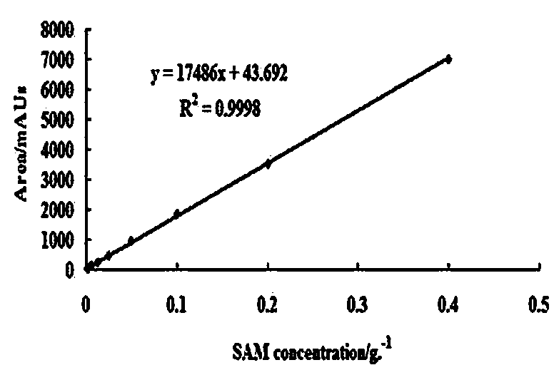 Method for synthesizing S-adenosylmethionine through coupling of escherichia coli and saccharomyces cerevisiae