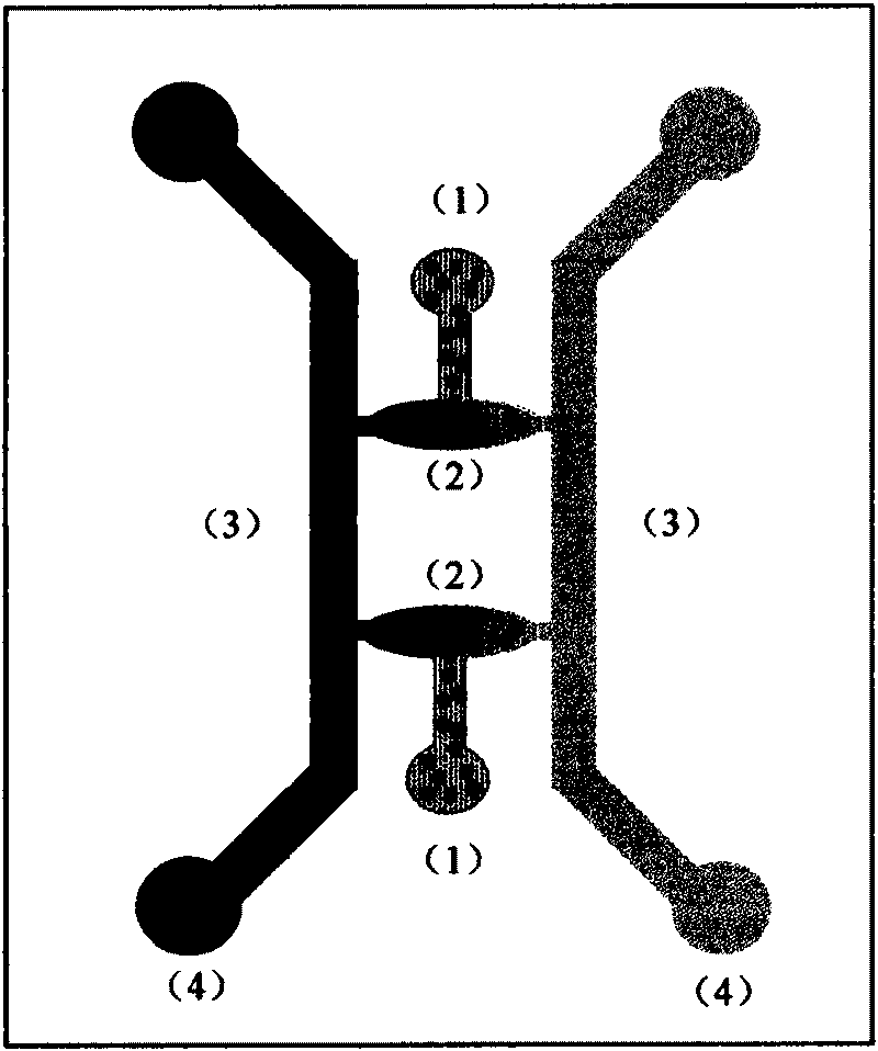 Micro-fluidic chip and method for research on oriented movement of cell in three-dimensional medium