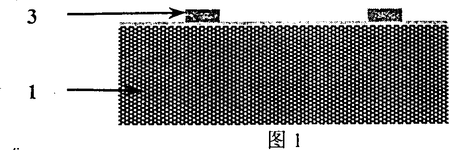 Detecting method and structure for microstructure binding process