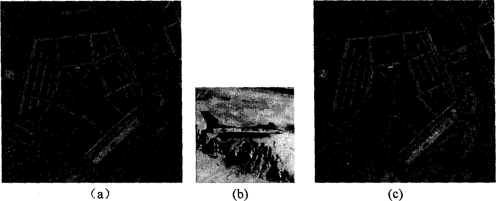 Distortion-less data concealing method for pseudo-color format picture