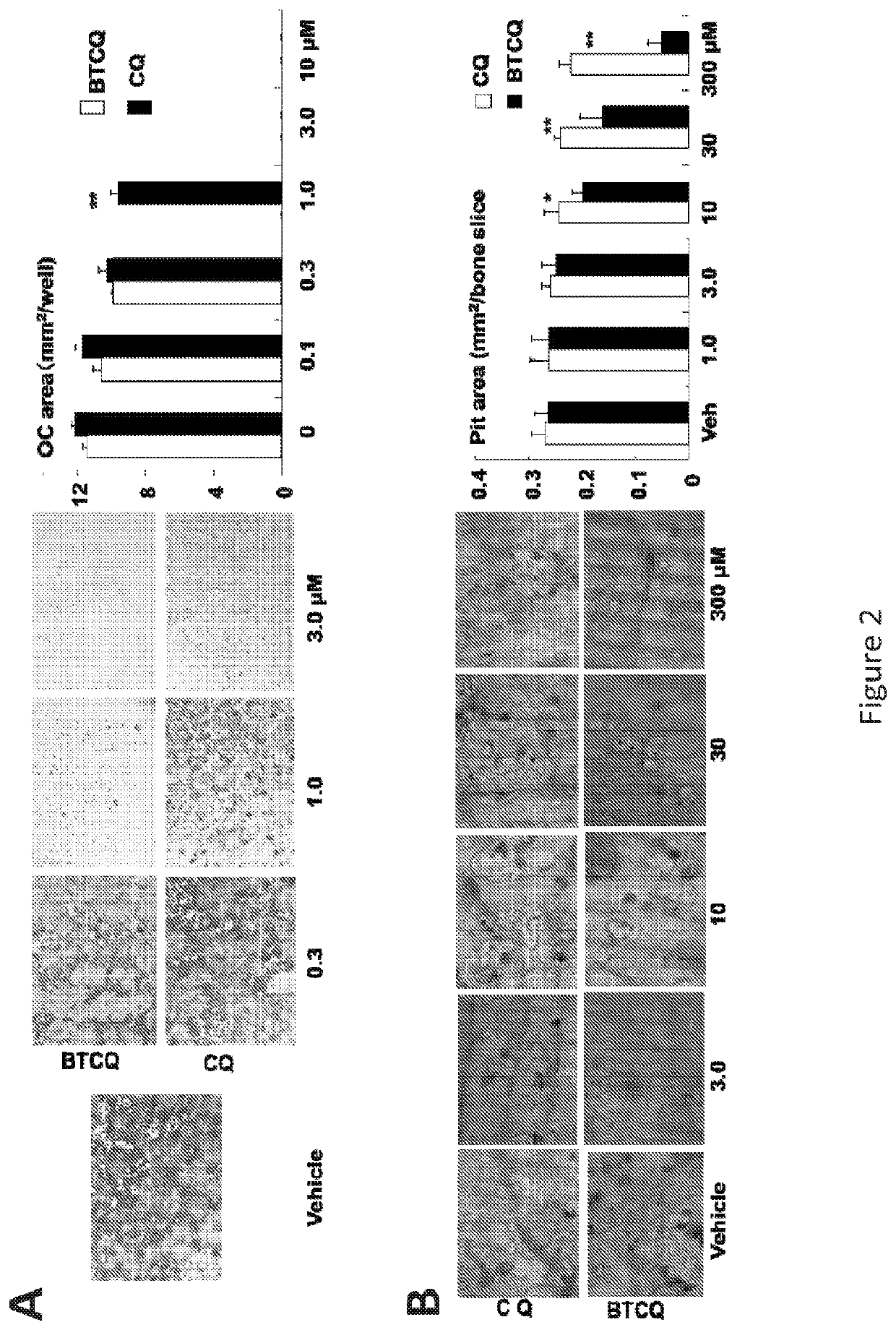 Phosphonate-chloroquine conjugates and methods using same