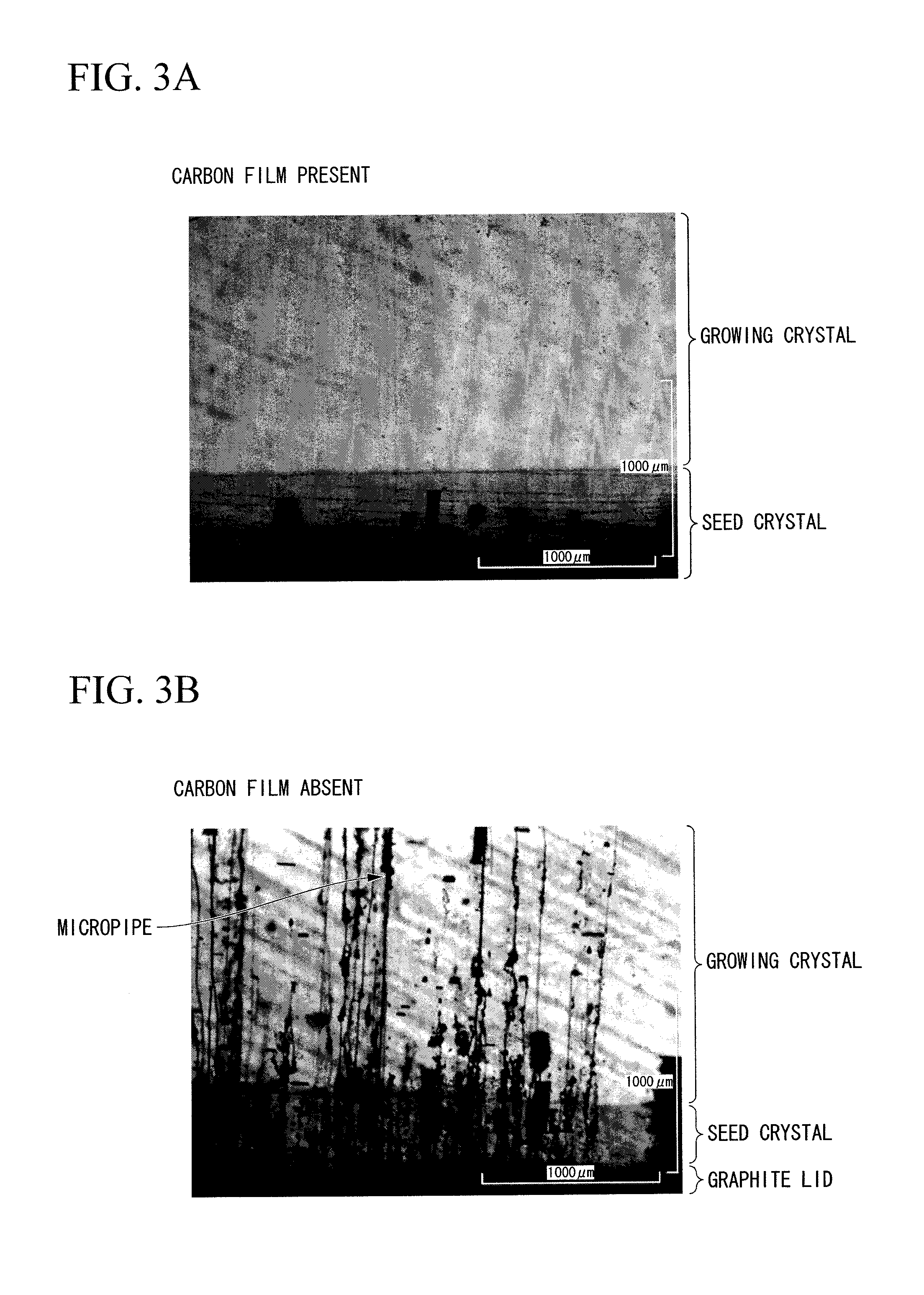 Seed crystal for silicon carbide single crystal growth, method for producing the seed crystal, silicon carbide single crystal, and method for producing the single crystal