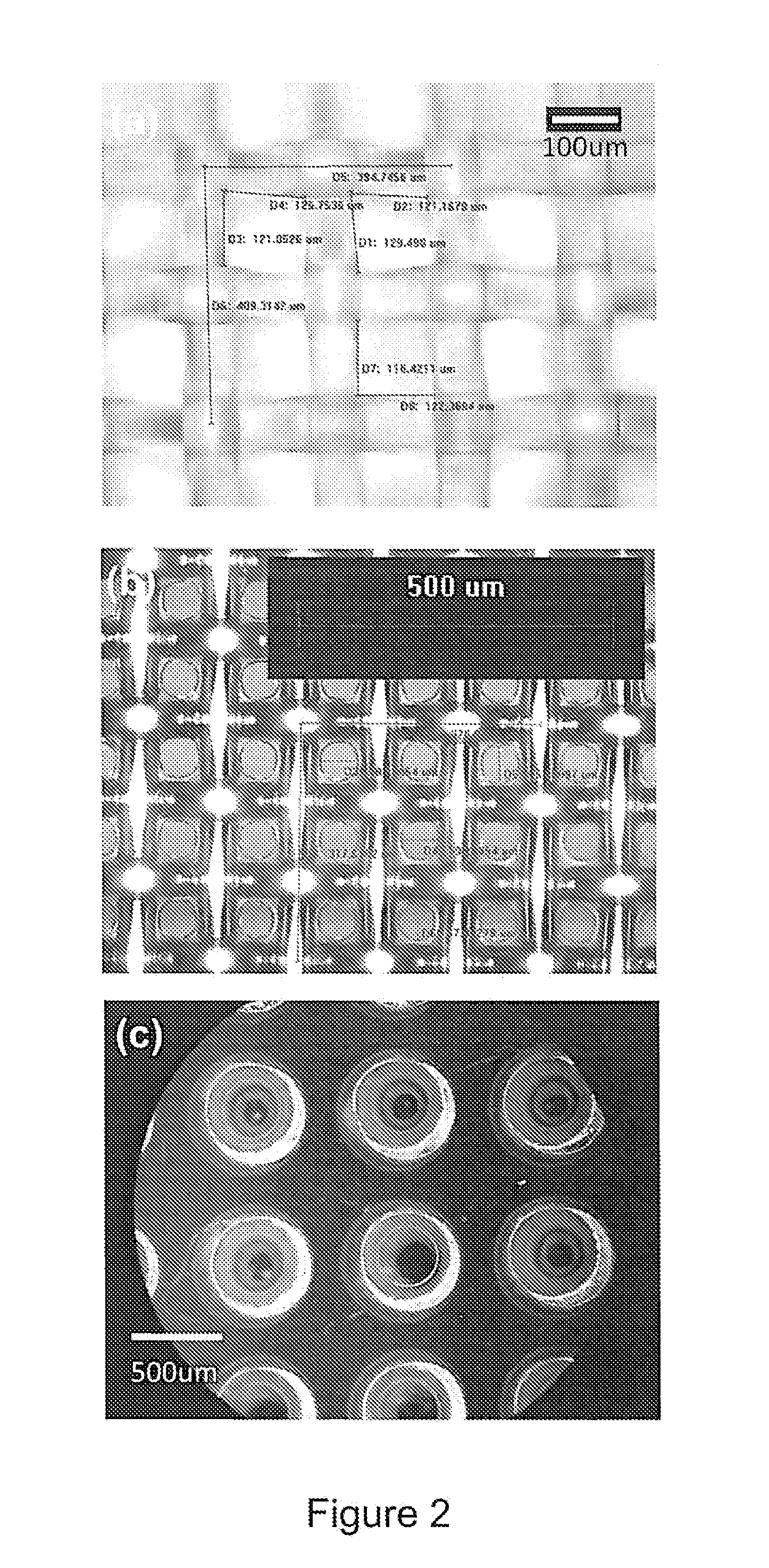 Method of Building Massively-Parallel Ion Concentration Polarization Separation Device
