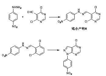 Method for synthesizing pyrazolo[3,4-d]pyrimidine derivative by two steps
