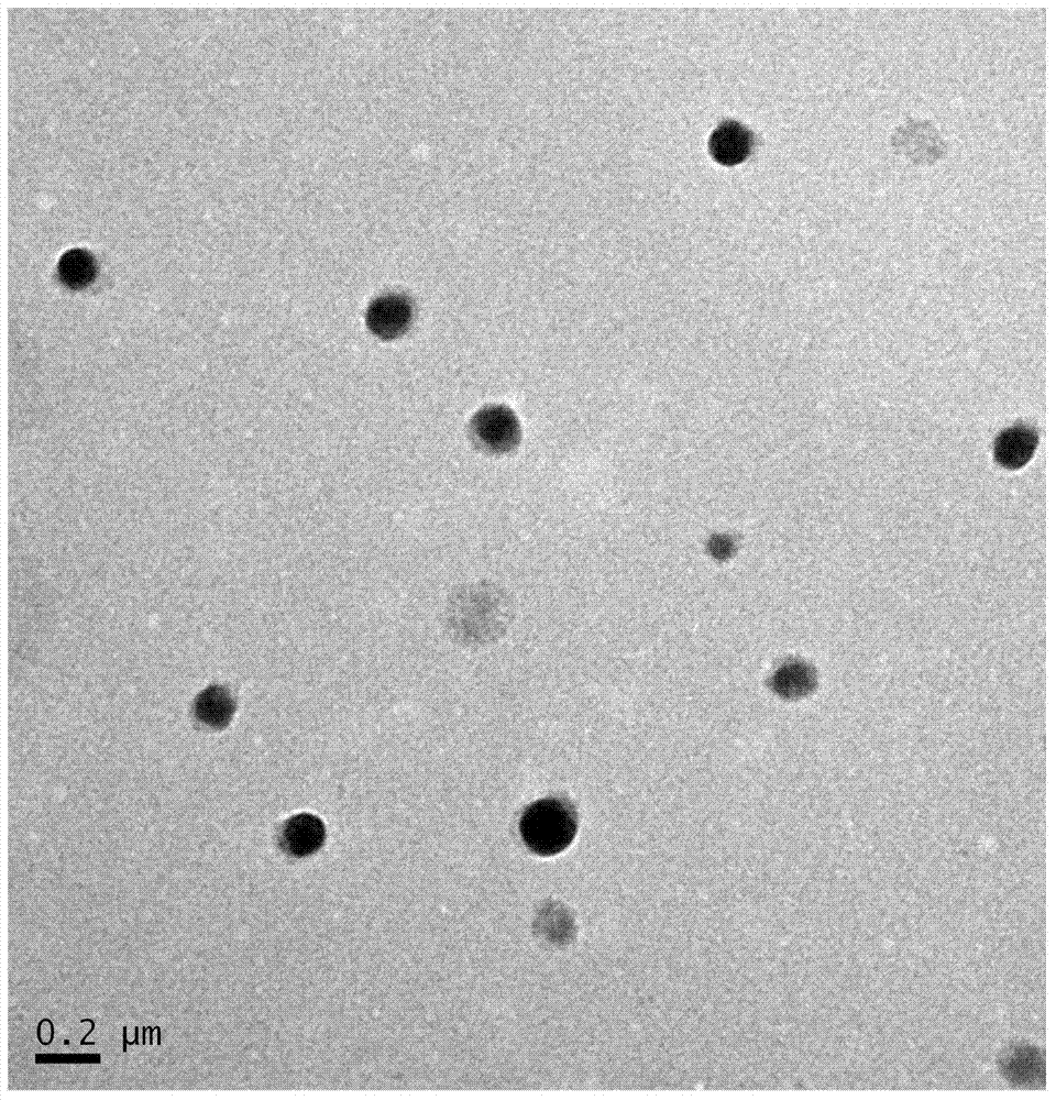 Complex nano particle of ginsenoside Rh2 albumin and preparation method thereof