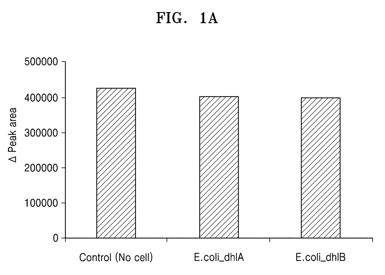 Microorganism including gene encoding protein having dehalogenase activity and method of reducing concentration of fluorinated methane in sample using the same