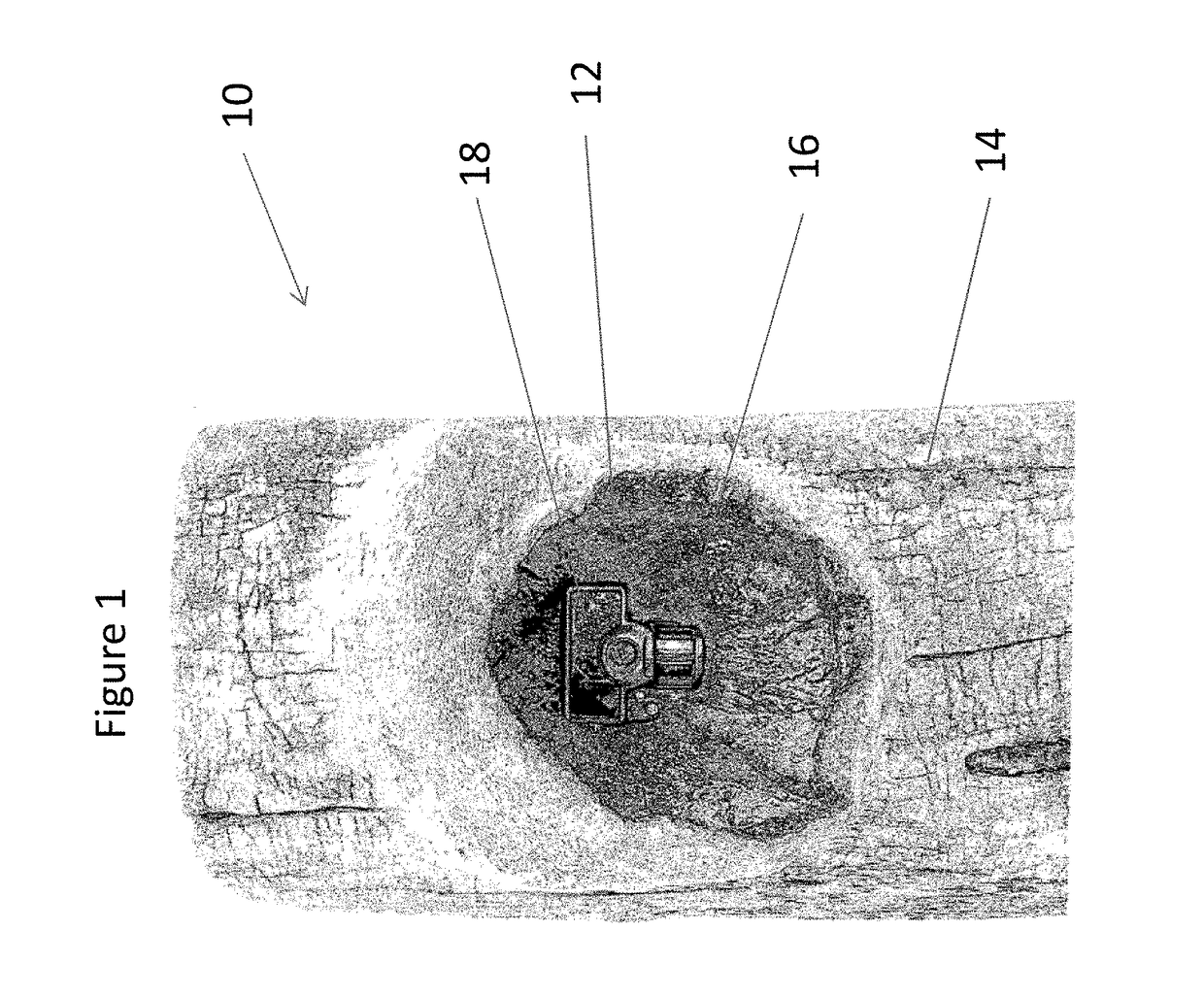 Camera camouflage device