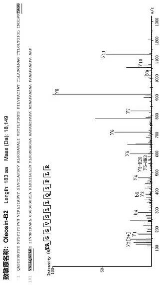 A method for evaluating the allergenicity of natural bee pollen and fermented bee pollen