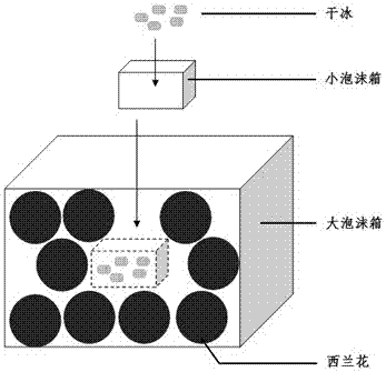 A kind of fresh-keeping method of fruit and vegetable