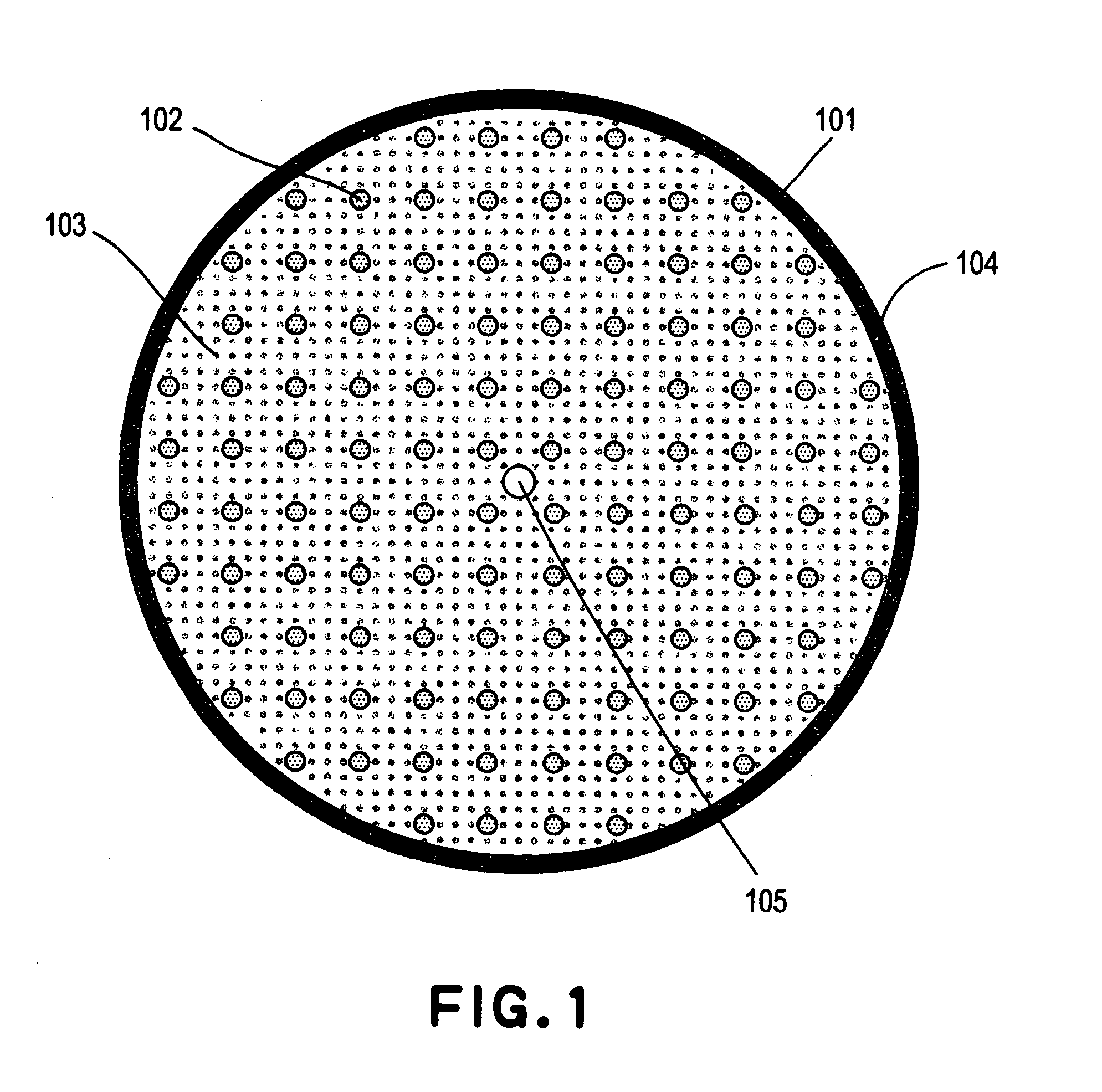 Substrate holding system and exposure apparatus using the same