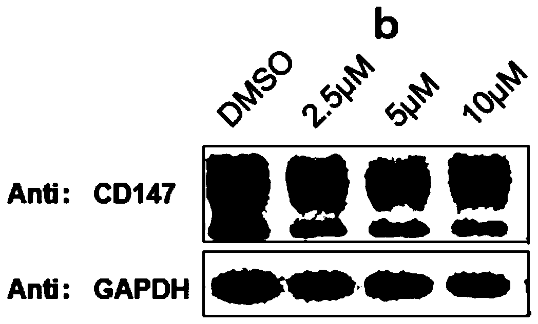 Protein degradation targeting chimeric body as well as preparation method and application thereof