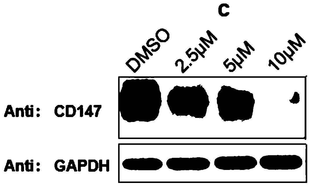 Protein degradation targeting chimeric body as well as preparation method and application thereof