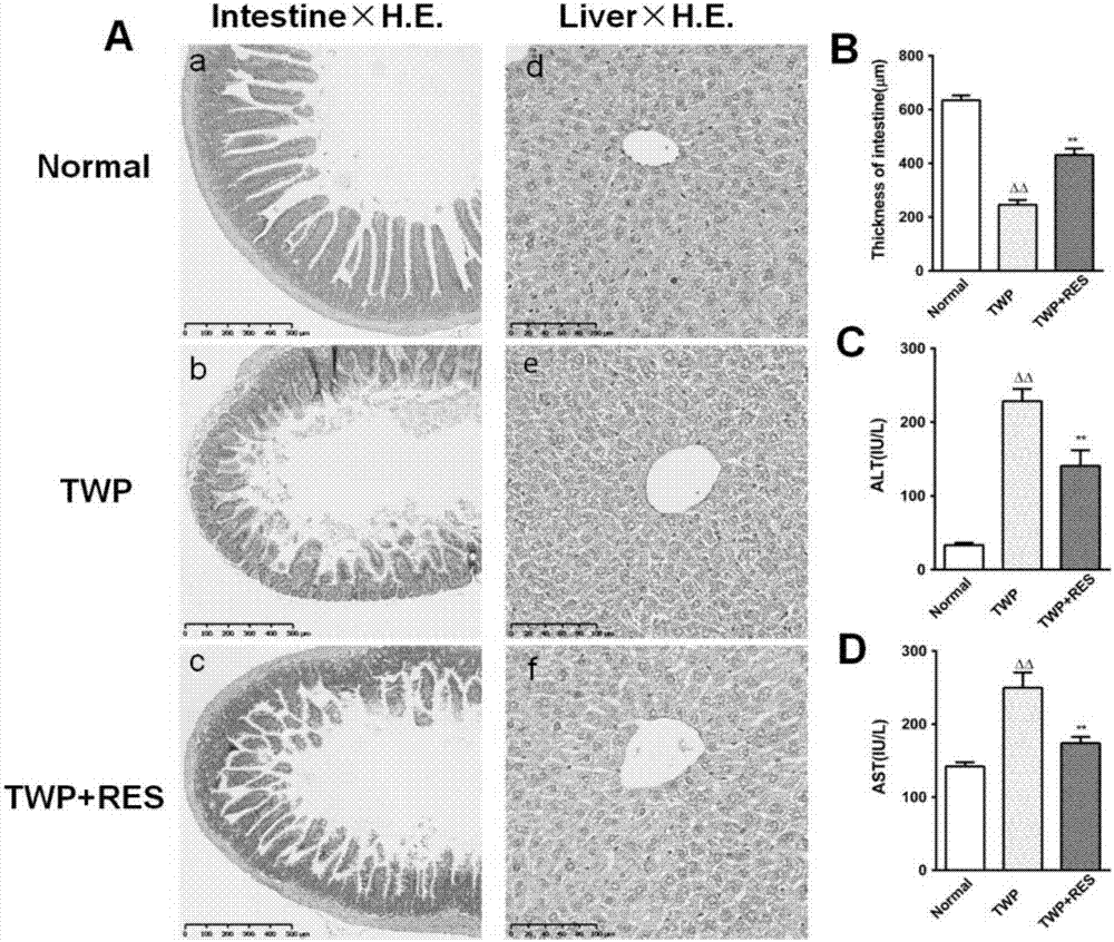 Tripterygium glycoside and tripterine monomer effect-enhancing and toxicity-reducing matching methods