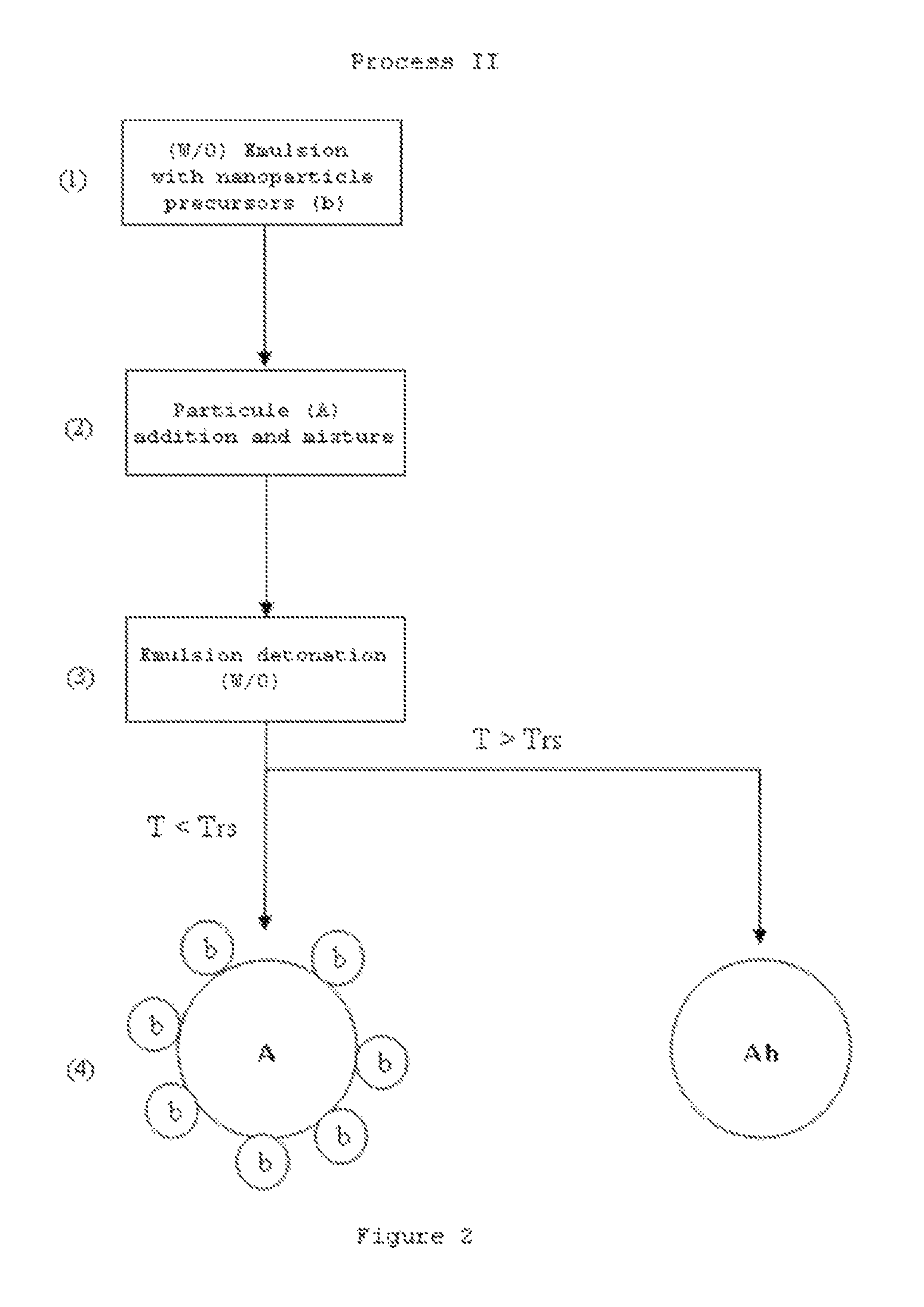 Ceramic powders coated with a nanoparticle layer and process for obtaining thereof