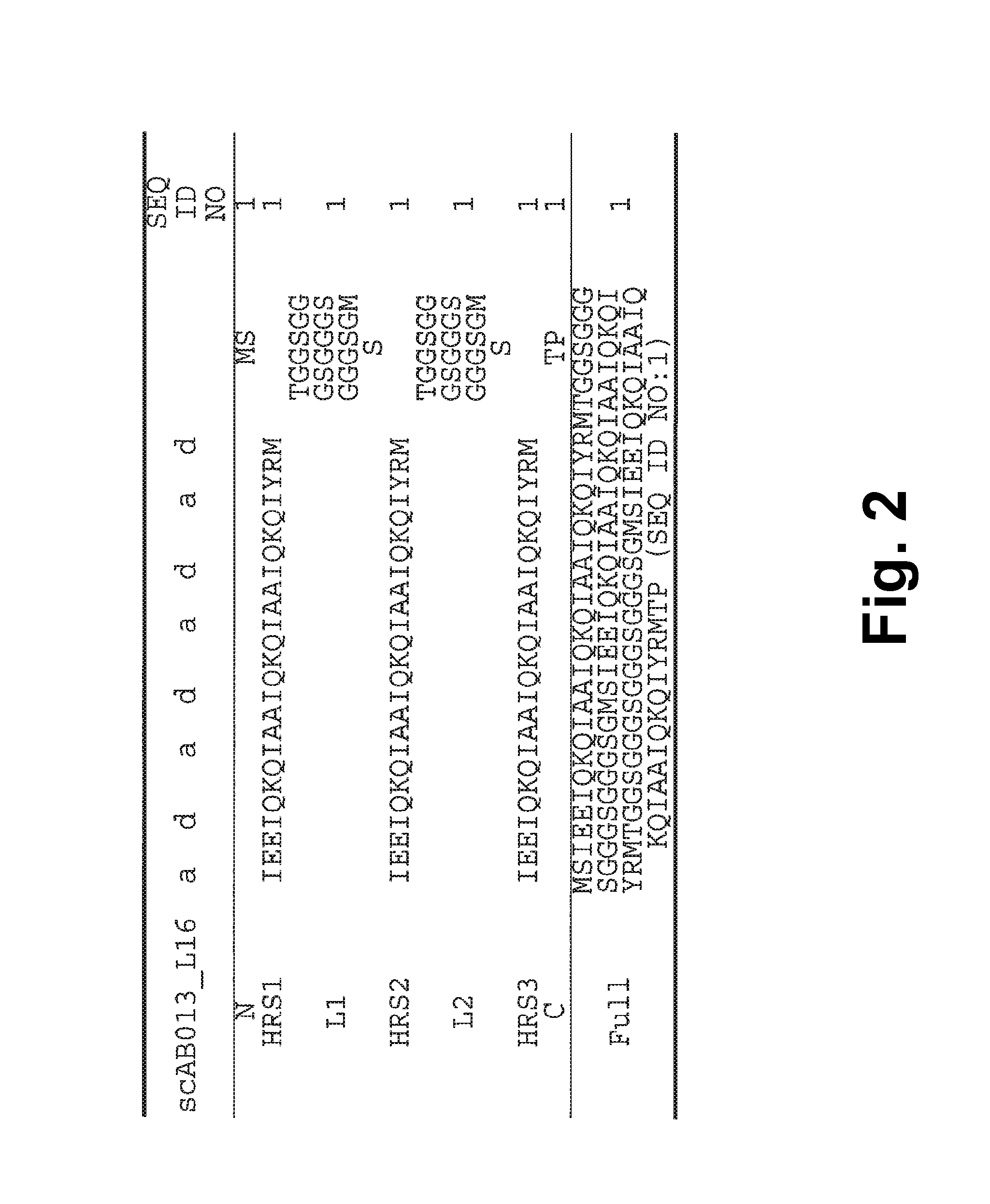 Alphabody libraries and methods for producing the same