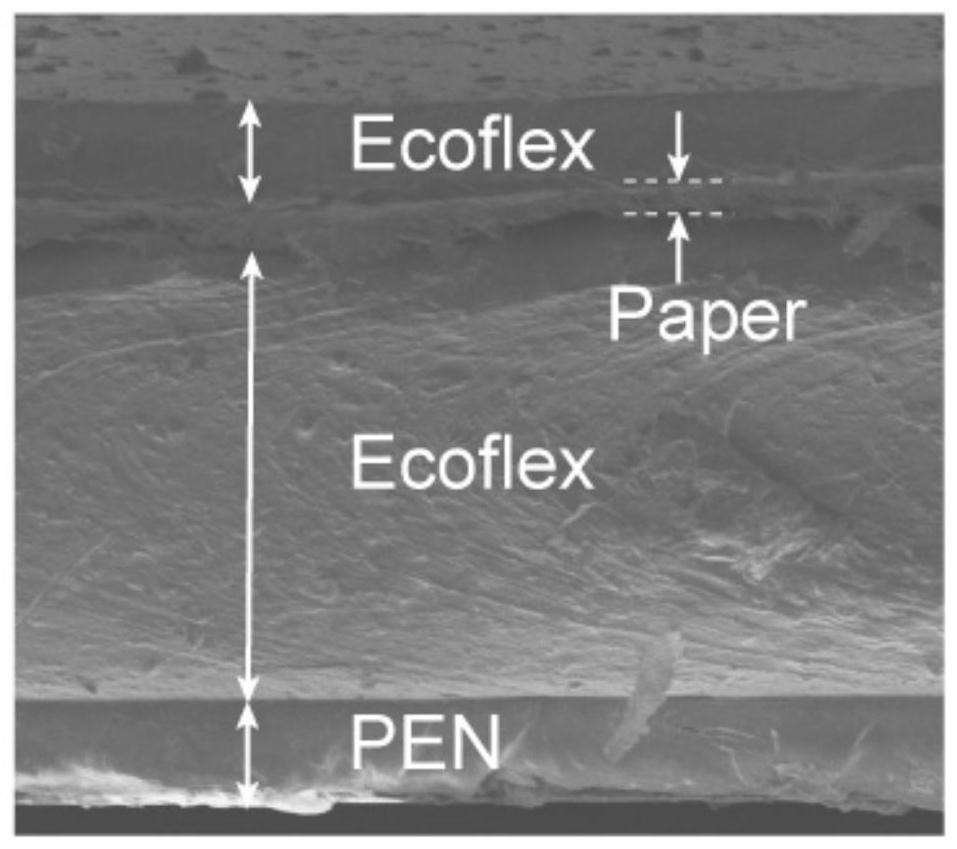 Sensors for Simultaneous Measurement of Bending Strain and Pressure