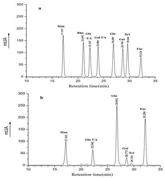 Method for extracting high-purity fucosan sulfate from brown algae