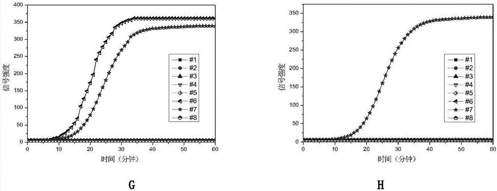 LAMP (loop-mediated isothermal amplification) primer combination for detecting six respiratory viruses, and application thereof