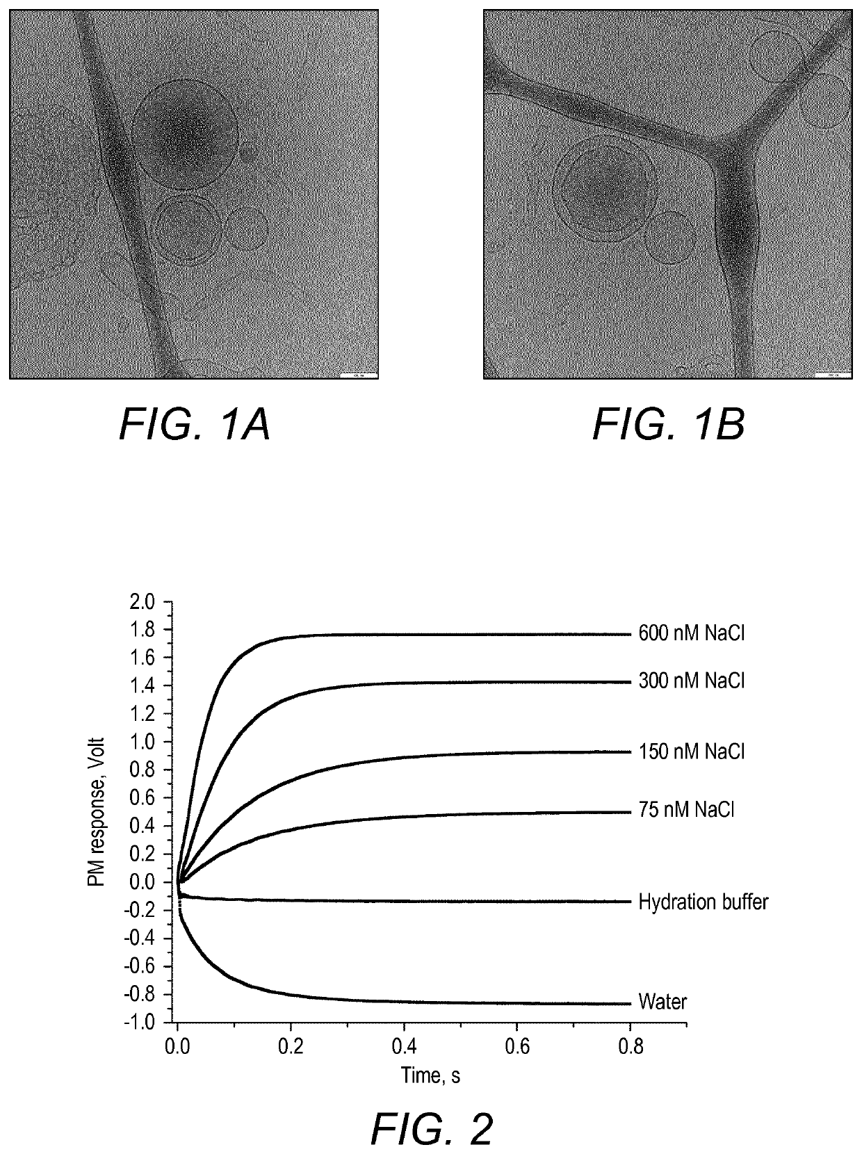 Vesicles formed from block copolymers, and novel block copolymers