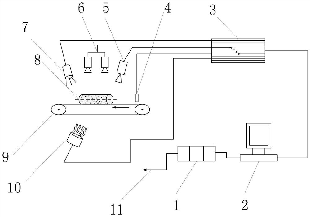 A system and method for measuring radial circular runout of high-temperature shafts based on digital speckle