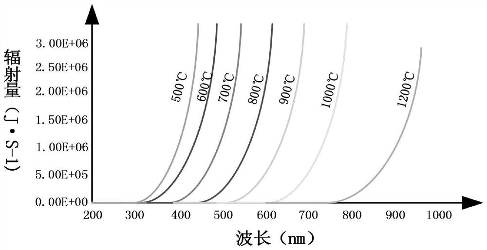 A system and method for measuring radial circular runout of high-temperature shafts based on digital speckle