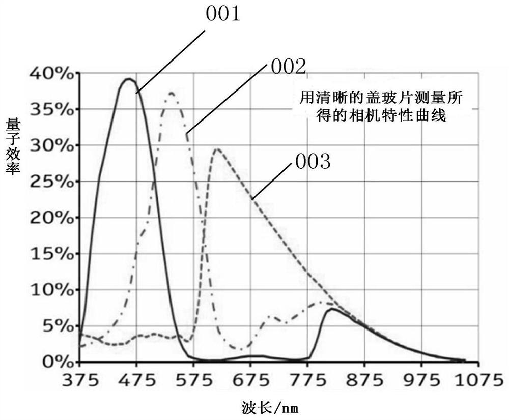 A system and method for measuring radial circular runout of high-temperature shafts based on digital speckle