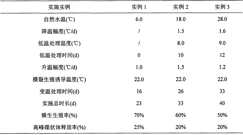 A kind of jellyfish short-term low temperature induction seedling cultivation method