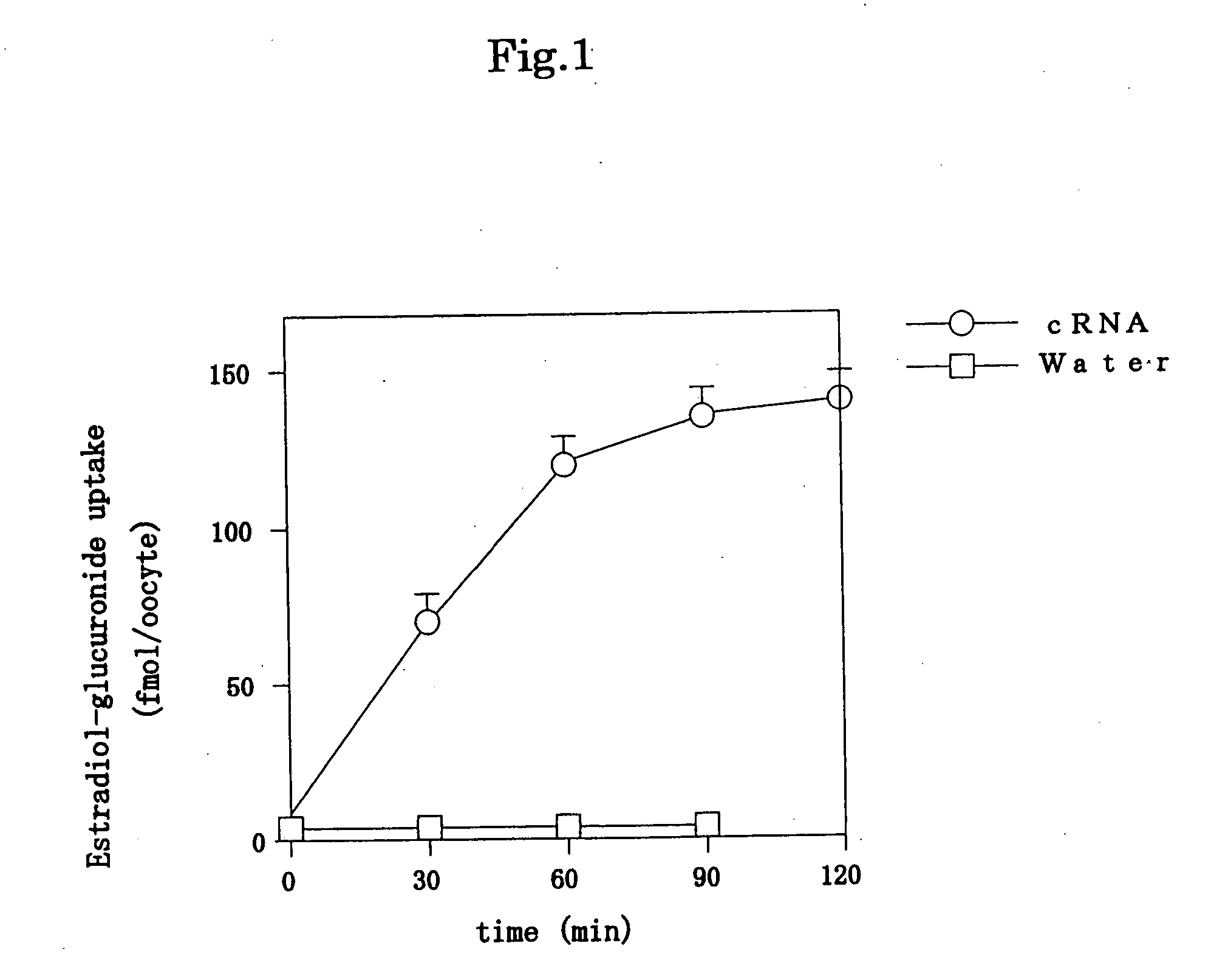 Drug transporter and use thereof