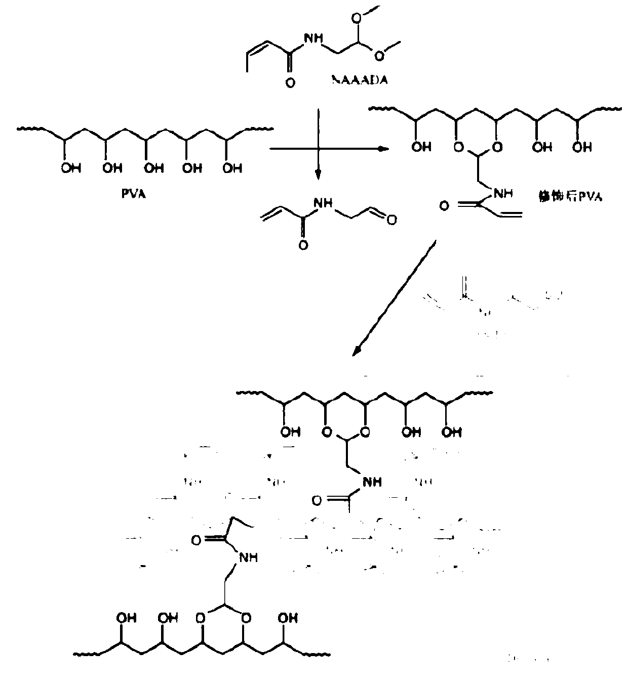 Poly(2-cyanoacrylic acid) as well as preparation method and application thereof