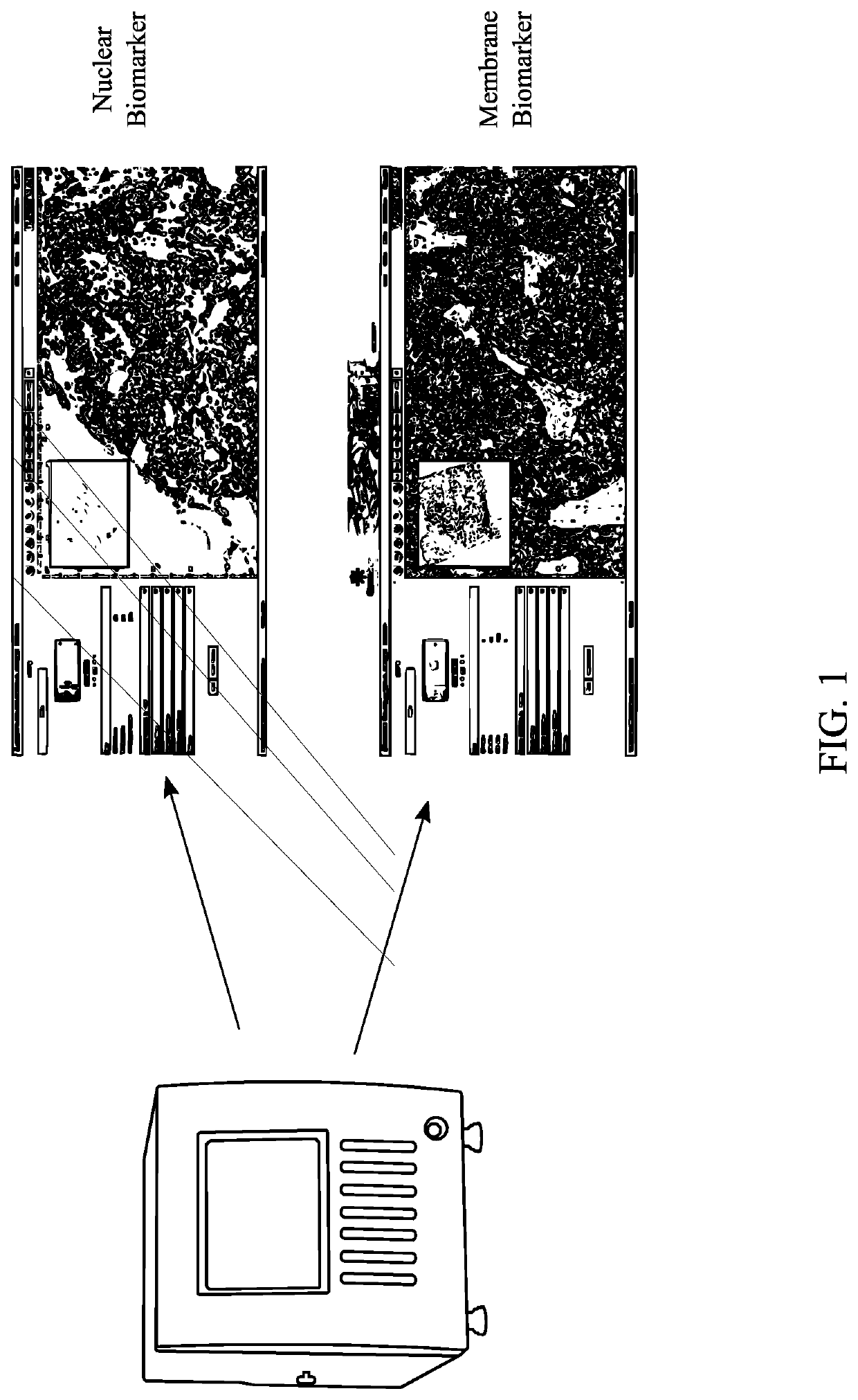 Method of Operation of An Artificial Intelligence-Equipped Specimen Scanning and Analysis Unit to Digitally Scan and Analyze Pathological Specimen Slides