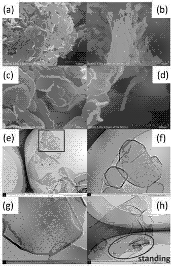 Preparation method and application of visible-light photo-catalyst