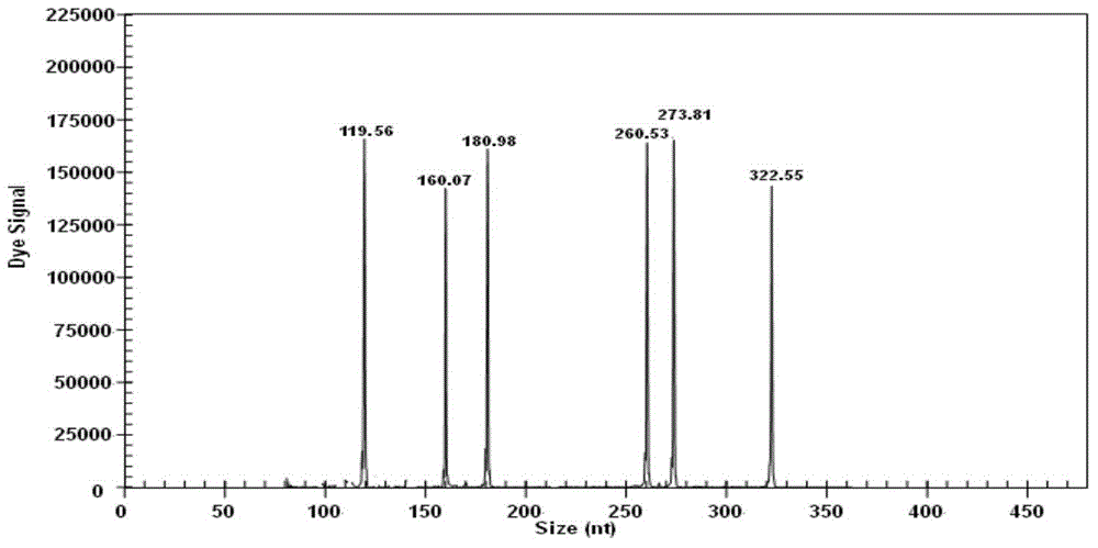 GeXP rapid detection kit for identifying eight types of porcine viral diseases and primer group thereof