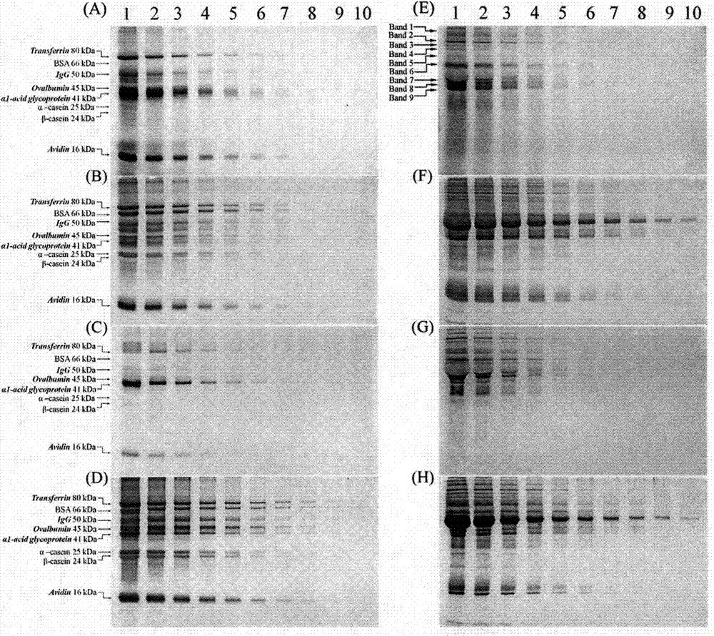 Application of 4h-[1]-benzopyran[4,3-b]thiophene-2-carboxylic acid hydrazide and its derivatives in glycoprotein-specific fluorescent prestaining detection