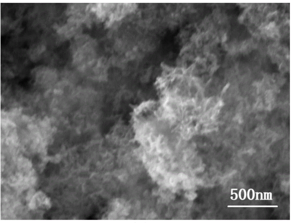 Preparation method of surface porous calcium phosphate ceramic material