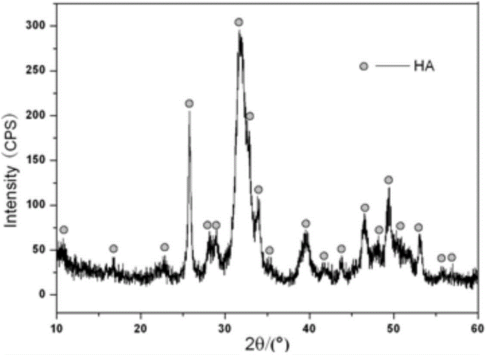 Preparation method of surface porous calcium phosphate ceramic material