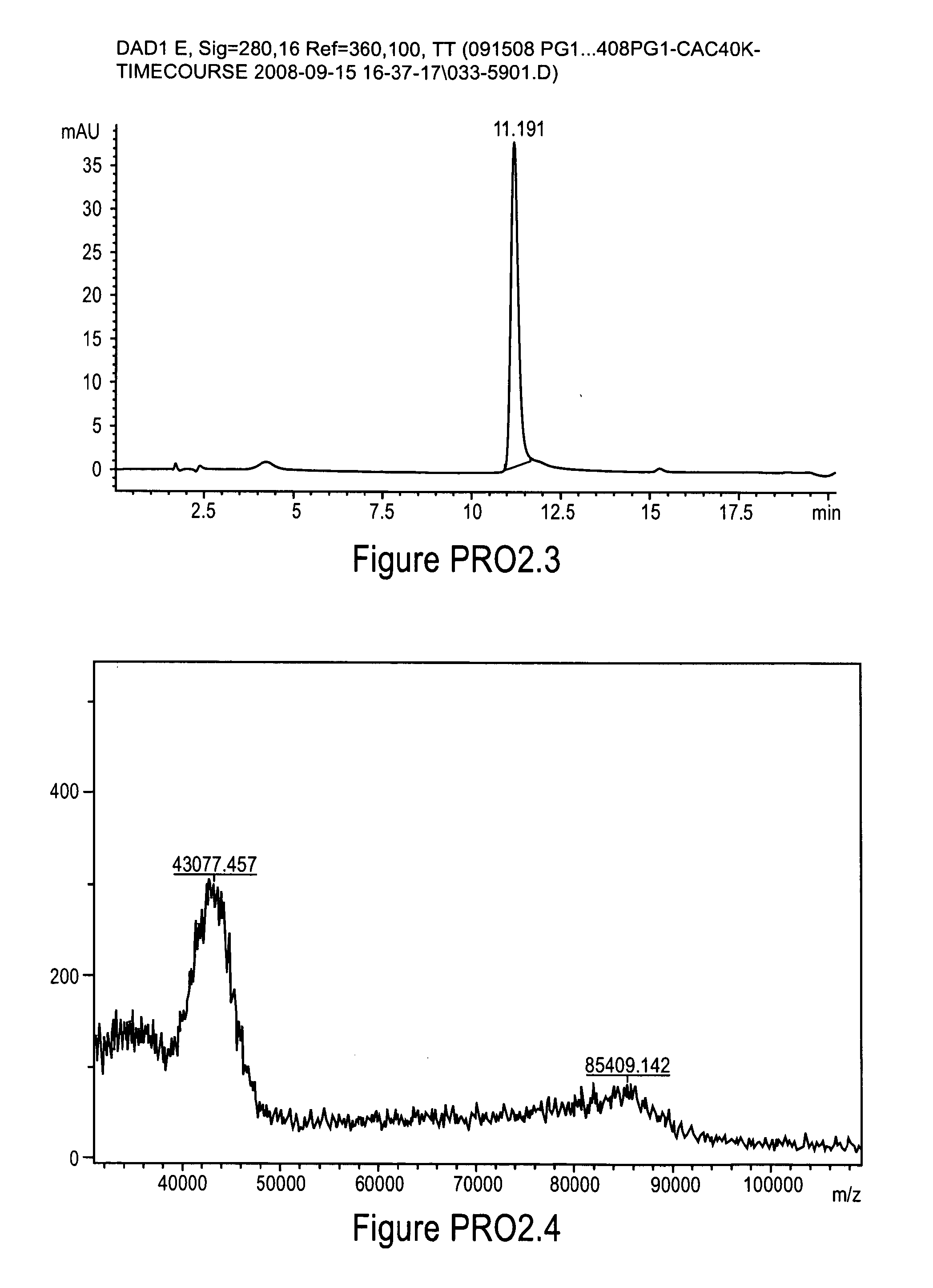 Polymer conjugates of protegrin peptides