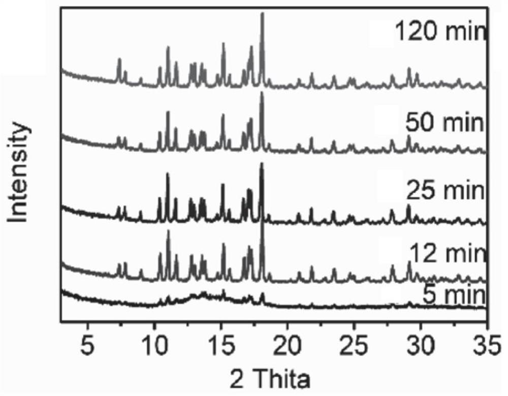 PET (polyethylene terephthalate) mildew-proof material as well as preparation method and application thereof